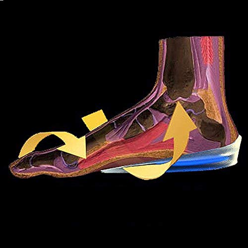 FEXMY Silicone Gel Heel Pad for Heel Ankle Pain for Men & Women, Heel Spur Relief | Shock Cushion Pad for Heels for Walking, Running, Sports, Formal & Safety Shoes (Blue, Medium) - Image 3