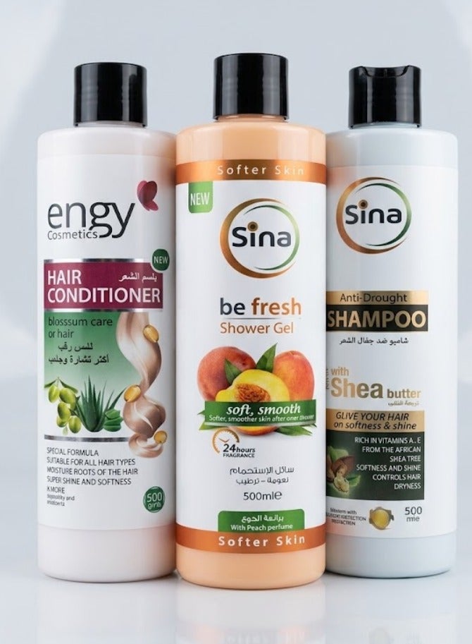 Shampoo, Conditioner and Shower Gel Set 500ml, MultiColour