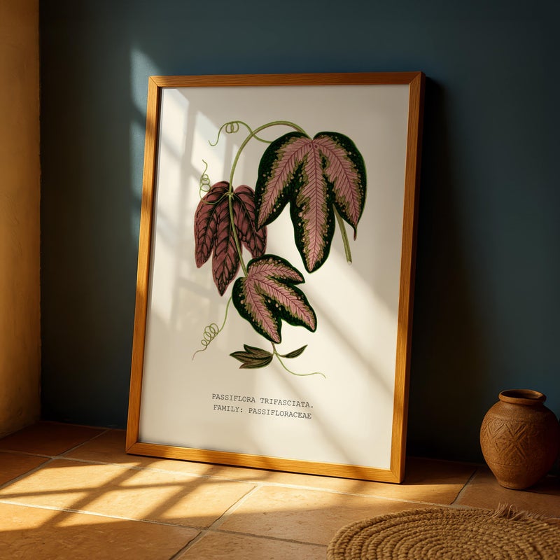 TNESSENTIAL Botanical Wall Print, Tropical Leaf Poster, Vintage Plant Art for Living Room – Three-Banded Passionflower (Passiflora trifasciata) - Image 3