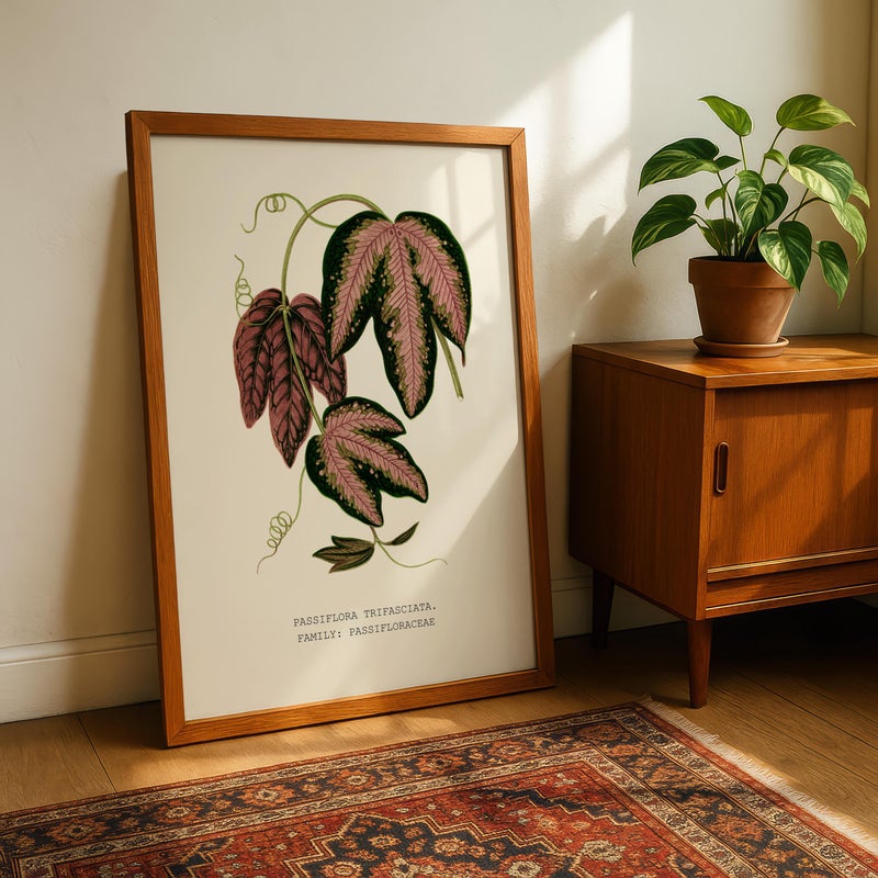 TNESSENTIAL Botanical Wall Print, Tropical Leaf Poster, Vintage Plant Art for Living Room – Three-Banded Passionflower (Passiflora trifasciata) - Image 4