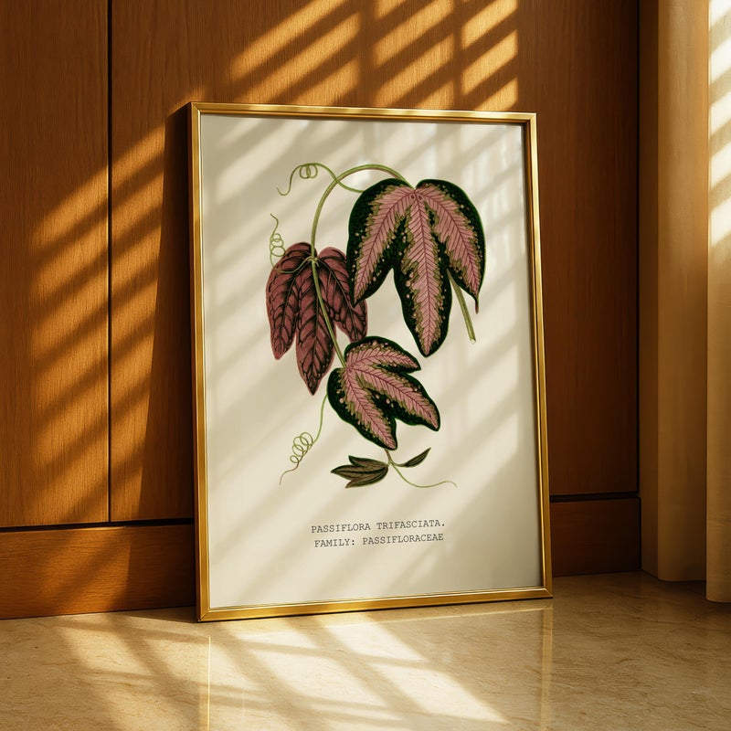 TNESSENTIAL Botanical Wall Print, Tropical Leaf Poster, Vintage Plant Art for Living Room – Three-Banded Passionflower (Passiflora trifasciata) - Image 1