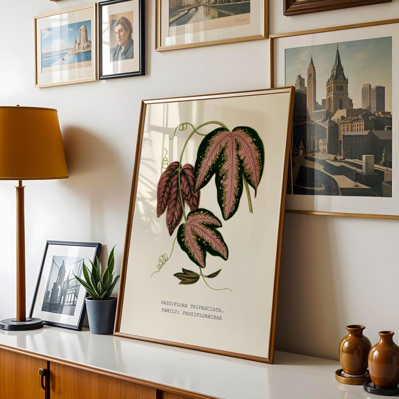 TNESSENTIAL Botanical Wall Print, Tropical Leaf Poster, Vintage Plant Art for Living Room – Three-Banded Passionflower (Passiflora trifasciata) - Image 5
