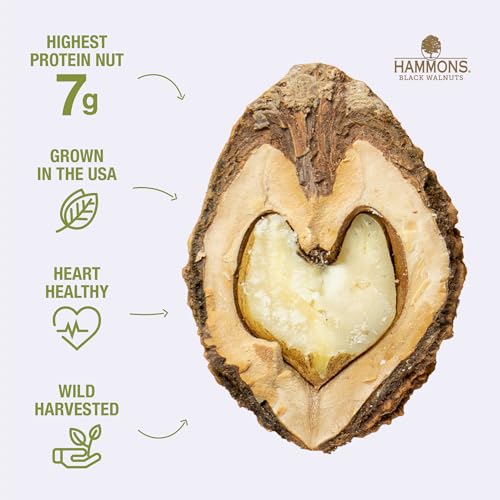Hammons Fancy Large Black Walnuts Wild Harvested  NonGMO  GlutenFree  High Protein  Keto Snack  Nuts for Cooking and Baking  24oz - Image 5