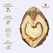 Hammons Fancy Large Black Walnuts Wild Harvested  NonGMO  GlutenFree  High Protein  Keto Snack  Nuts for Cooking and Baking  24oz - Image 4