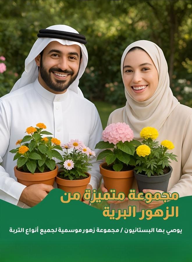 (توصية البستاني) زهور مختلطة تزهر طوال السنة مناسبة لجميع أنواع التربة، 12 كيس - Image 2
