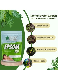BLISS OF EARTH Epsom Salt for Bath Plants & Foot Soak Natural Magnesium Sulfate Relaxing Soak for Muscle Relief Aromatherapy Vegan Cruelty Free(2KG  - Image 4