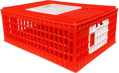 RentACoop Poultry Carrier Crate (Pack of 1) 29" L x 22" W x 12" H for Chickens - Image 1