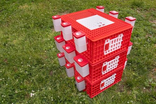 RentACoop Poultry Carrier Crate (Pack of 1) 29" L x 22" W x 12" H for Chickens - Image 5