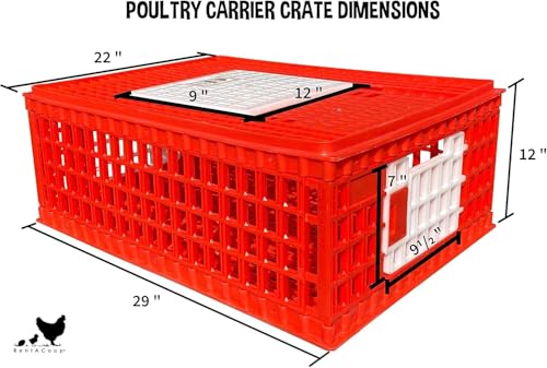 RentACoop Poultry Carrier Crate (Pack of 1) 29" L x 22" W x 12" H for Chickens - Image 4