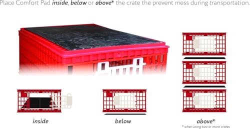 RentACoop Poultry Carrier Crate (Pack of 1) 29" L x 22" W x 12" H for Chickens - Image 3