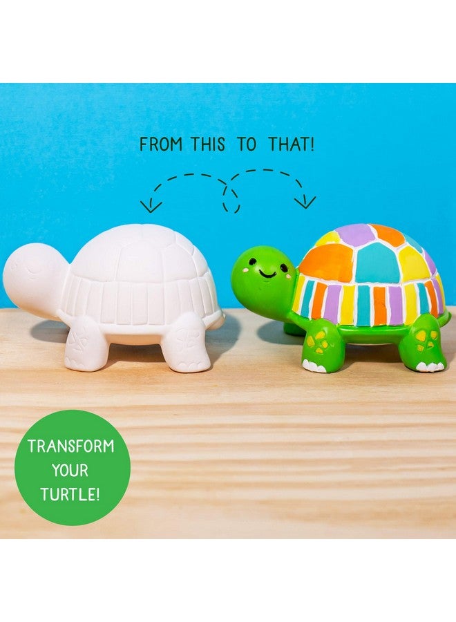 Creative Roots Paint Your Own Turtle, Diy Turtle, Kids Painting Set, Creativity, Ceramics To Paint, Paint Your Own Ceramic, Painting Kits For Kids Ages 5+ - Image 3