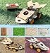SCAEMO DIY RC Car Kit Build Your Own Solar Car Stem Projects for Kids Ages 812 Science Experiments for Kids 912 STEM Toys for 8 9 10 11 12 Year Old Boys Gifts - Image 3