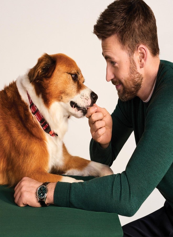 جينكس مكافآت جينكس بنكهة الدجاج المجفف للكلاب - مكافآت طرية ومطاطية، طبيعية بالكامل، مصنوعة من دجاج حرّ - منتجات للحيوانات الأليفة لجميع الكلاب (الجراء، والكلاب البالغة، والكلاب المسنة) - 15 أونصة - Image 4