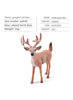 Export Simulation Forest Animal Model Beaver Anteater Squirrel Monkey Rabbit White-tailed Deer Small Fox Toy-Color:M4038 Male White-tailed Deer 34g