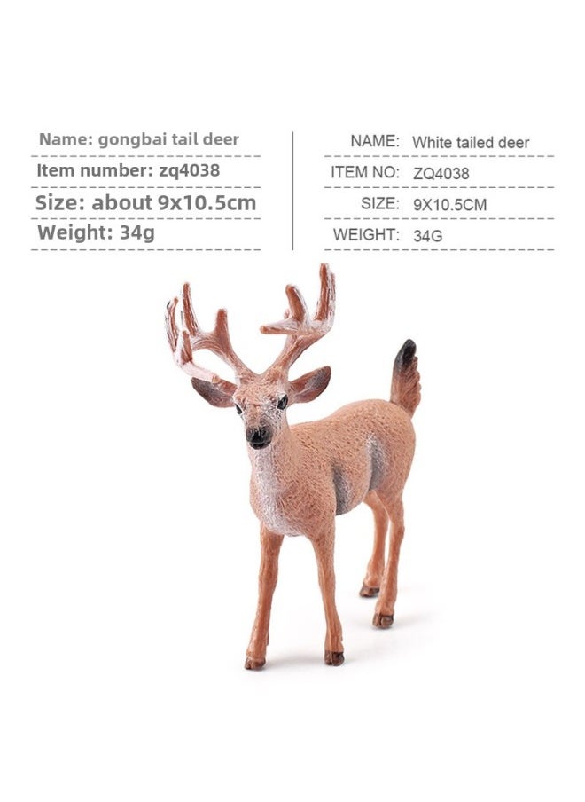 Generic - Export Simulation Forest Animal Model Beaver Anteater Squirrel Monkey Rabbit White-tailed Deer Small Fox Toy-Color:M4038 Male White-tailed Deer 34g - Image 1
