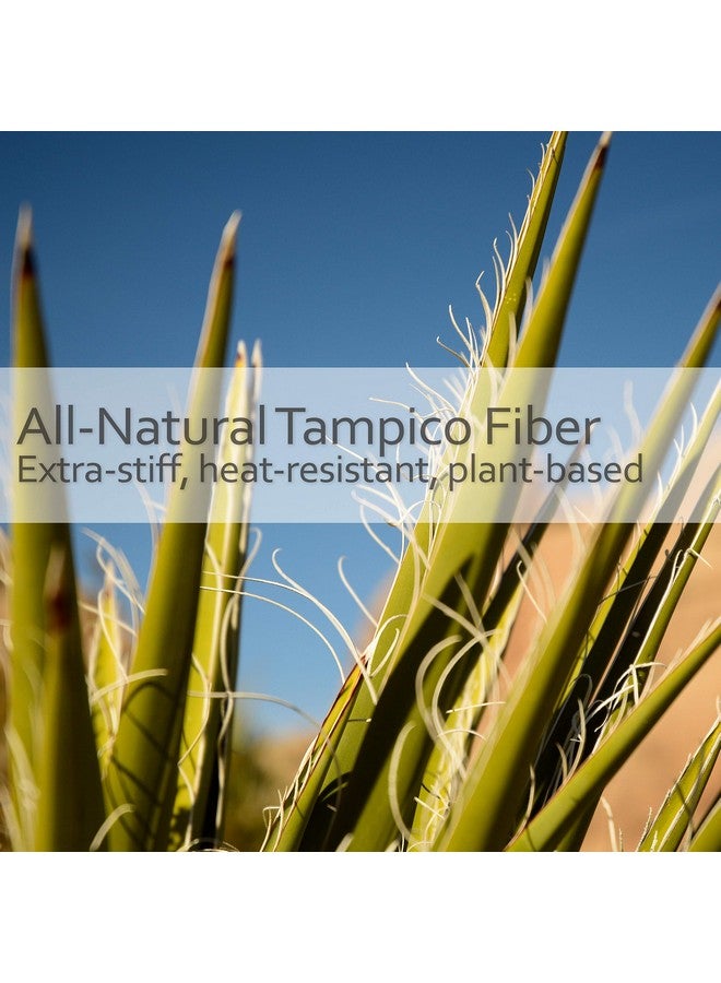 REDECKER Tampico Fiber Dry Massage Brush With Untreated Beechwood Handle 51/2Inches - Image 3