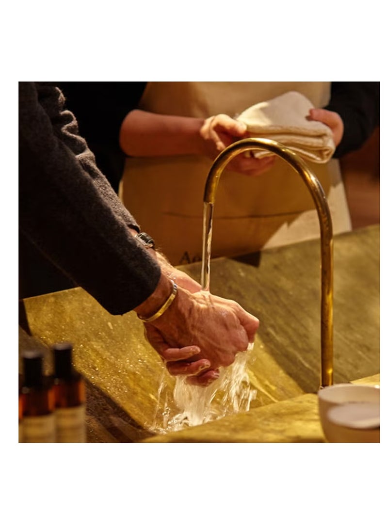 أيسوب غسول اليدين إيسوب ريفيرنس أروماتيك ٥٠٠ مل - Image 3