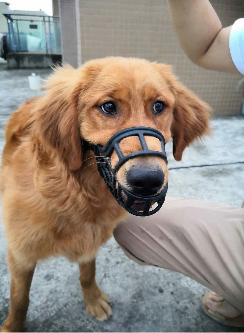 Excefore Dog Mouth, Breathable Basket Mouth for Medium Dogs, Stop Bite, Bark and Chew Best for Aggressive Dogs M, Border Collie Black - Image 5
