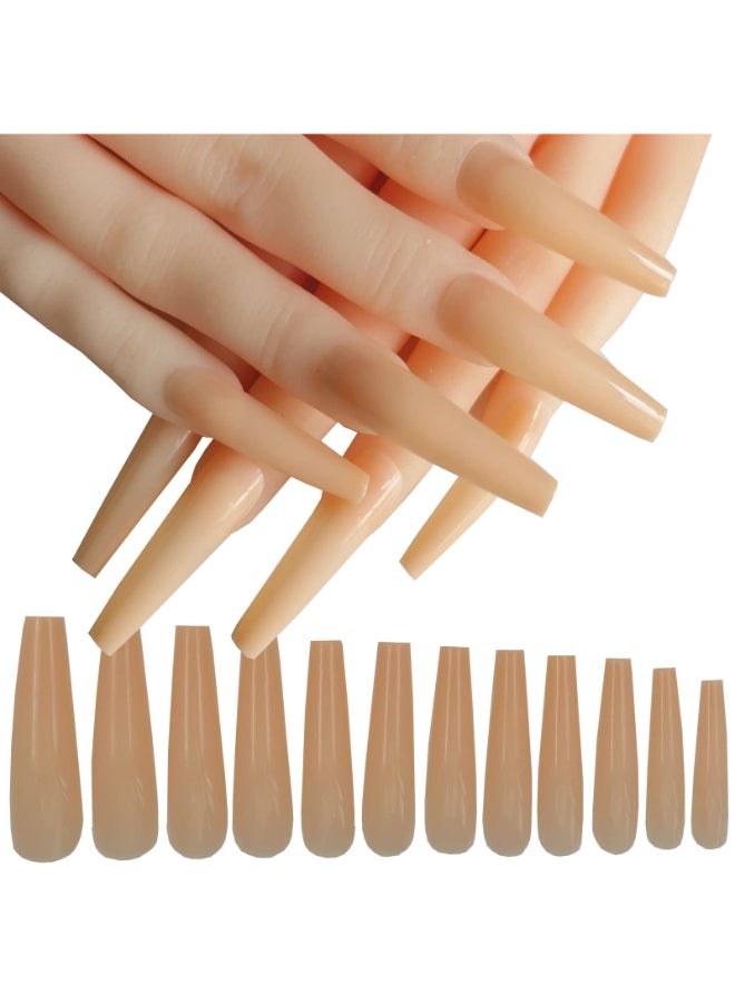 LuckForever 120pc XL Coffin False Nails Colored Beige Press on Nail Extra Long Ballerina Nail Art Tips Full Cover 12 Sizes Manicure DIY Decor for Women Kids Girls - Image 3