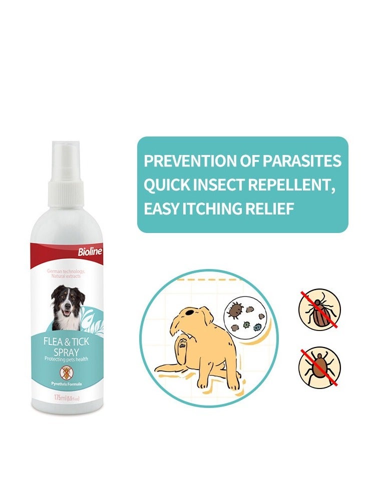 Bioline رذاذ للبراغيث والقراد للكلاب 2X175مل - Image 3