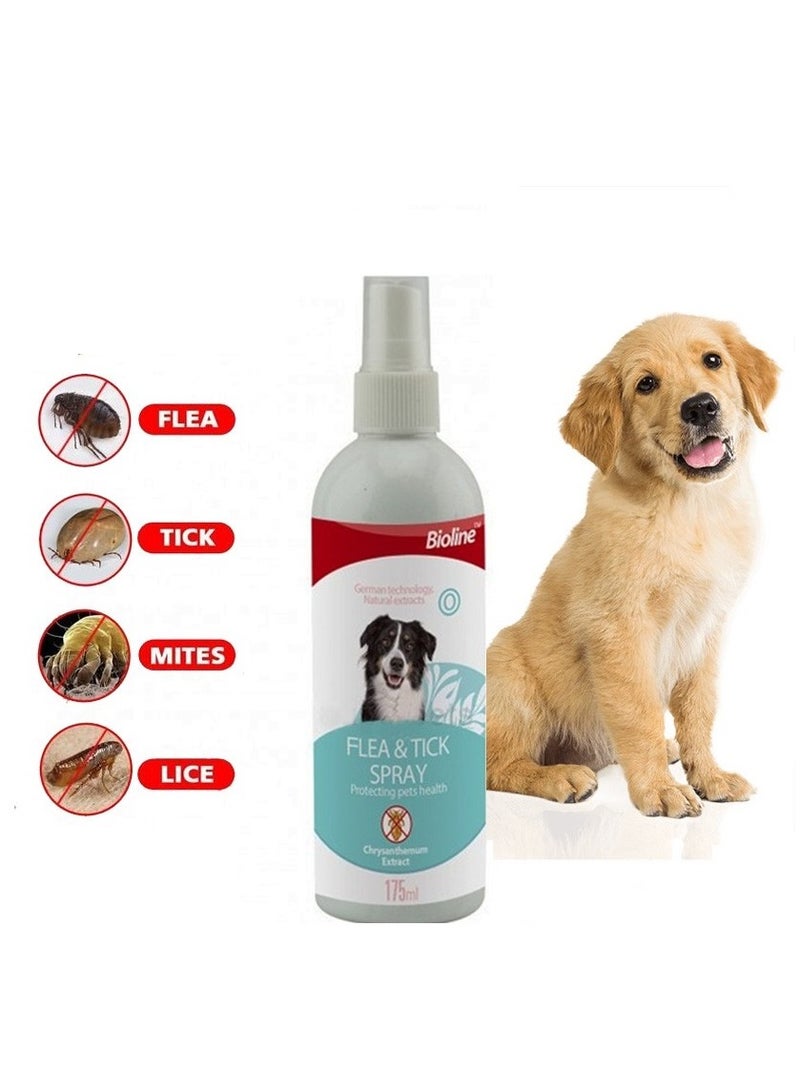 Bioline رذاذ للبراغيث والقراد للكلاب 2X175مل - Image 2