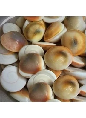 Berat Serpentine Stone Healing Stone Female and Male Mixed 100 Pieces