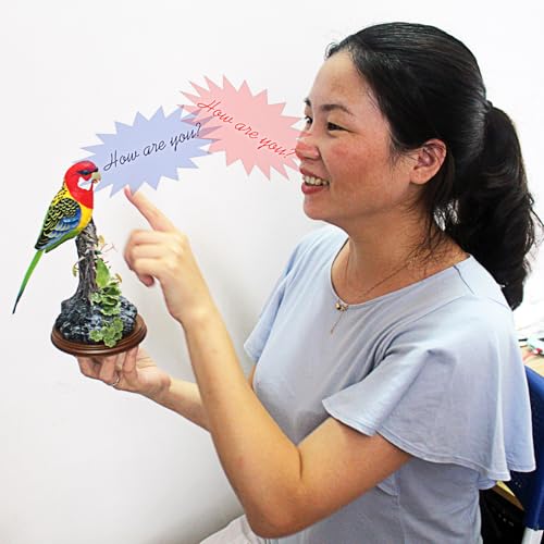 Tipmant Talking Parrots Birds Toys Electronic Animal Pets Office Home Room Decoration Recording Playback Function Kids Birthday Gifts Single Bird - Image 5
