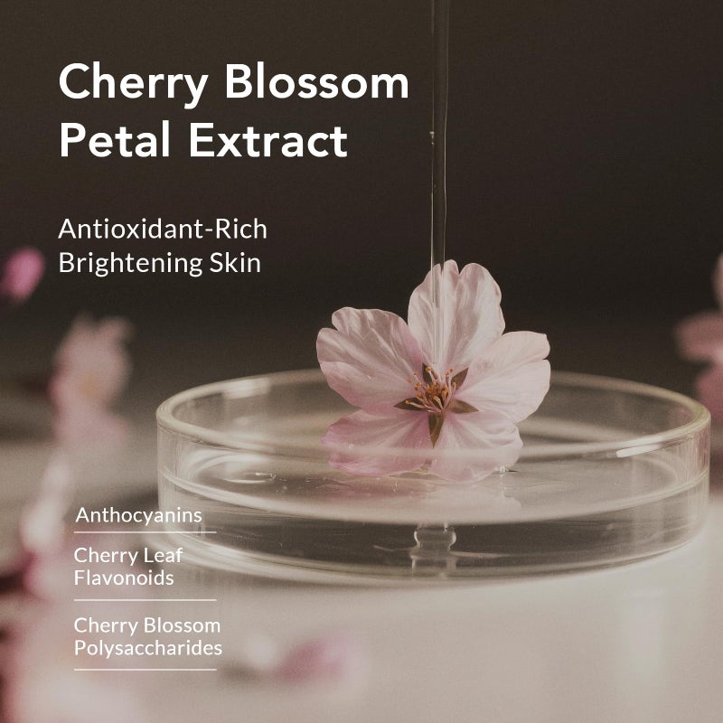 Kustie Cherry Blossom Petal Body Wash with Niacinamide & Real Flower Extracts – Brightening & Hydrating Perfume Shower Gel with Antioxidants, Amino Acids & Long-Lasting 24H Floral Fragrance, 16.9 oz - Image 3