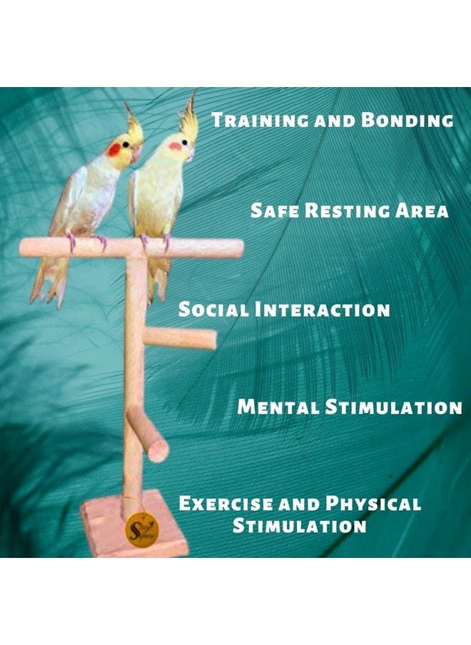 Sage Square Bird Stand 2 Stairs 13 Inches | Natural Wood Training Gym, Exercise Perch | Ideal For Parrot, Cockatiel, Love Bird | Playful & Durable Bird Toy, Multiple Branches For Enriching Bird'S  - Image 4