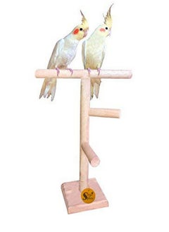 Sage Square Bird Stand 2 Stairs 13 Inches | Natural Wood Training Gym, Exercise Perch | Ideal For Parrot, Cockatiel, Love Bird | Playful & Durable Bird Toy, Multiple Branches For Enriching Bird'S  - Image 1