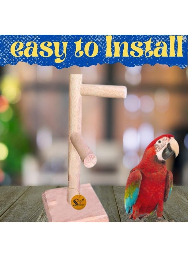 Sage Square Bird Stand 2 Stairs 13 Inches | Natural Wood Training Gym, Exercise Perch | Ideal For Parrot, Cockatiel, Love Bird | Playful & Durable Bird Toy, Multiple Branches For Enriching Bird'S  - Image 3