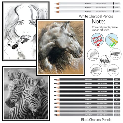 PANDAFLY 24 Piece Charcoal Drawing Set, Black & White Charcoal Pencils for Drawing, Sketching, Shading, Blending, Christmas Gifts for Kid Teen Girl, Artist Pencils for Beginners & Pro Artists - Image 3