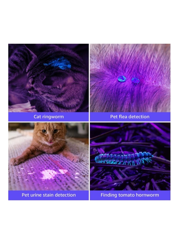 Lepro UV Light, 21 LED 395nm UV Torch, Black Light Detector for Pets Urine, Stain, Bed Bugs, Scorpions, Ringworms, Fake Banknote and More, 3 AAA Batteries Included - Image 3