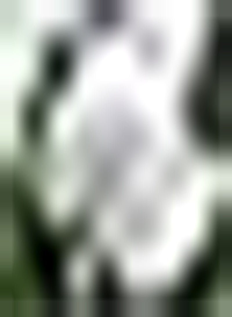 GGOOT 10 reinweiße Tulpenzwiebeln Erbpcs Blumenzwiebeln für die Bepflanzung des Hausgartens Leicht zu pflegen geeignet für Schnittblumensträuße - Image 1