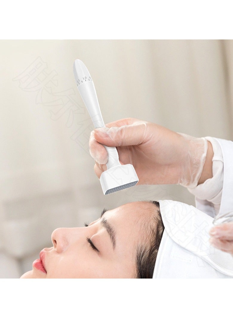 إسكدنيا 6 في 1 Microneedle Roller Professional Derma Stamp Microneedle العناية بالبشرة تساقط الشعر أداة علاج الإبرة الدقيقة DRS 140A - Image 3