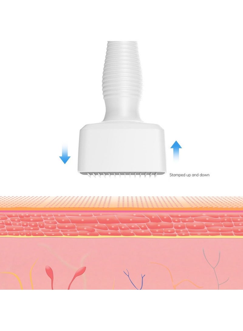 إسكدنيا 6 في 1 Microneedle Roller Professional Derma Stamp Microneedle العناية بالبشرة تساقط الشعر أداة علاج الإبرة الدقيقة DRS 140A - Image 4