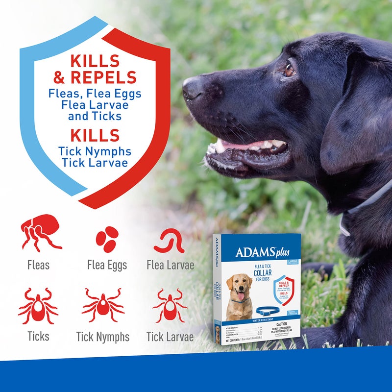 ADAMS Plus Flea & Tick Collar for Dogs, 7-Month Protection, Adjustable Collar Fits Large Dogs & Puppies, Kills Fleas & Ticks - Image 3