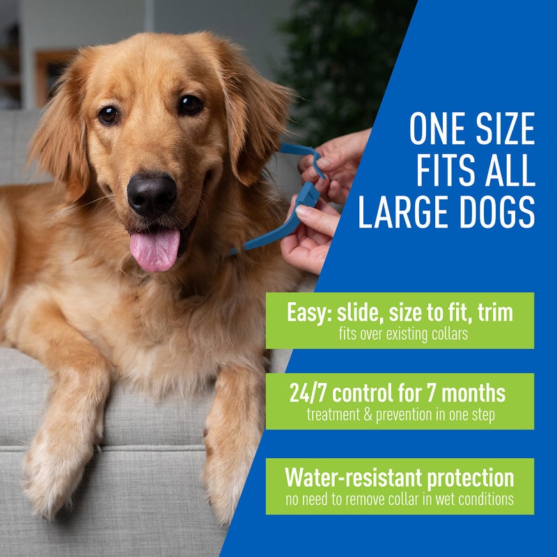 ADAMS Plus Flea & Tick Collar for Dogs, 7-Month Protection, Adjustable Collar Fits Large Dogs & Puppies, Kills Fleas & Ticks - Image 4