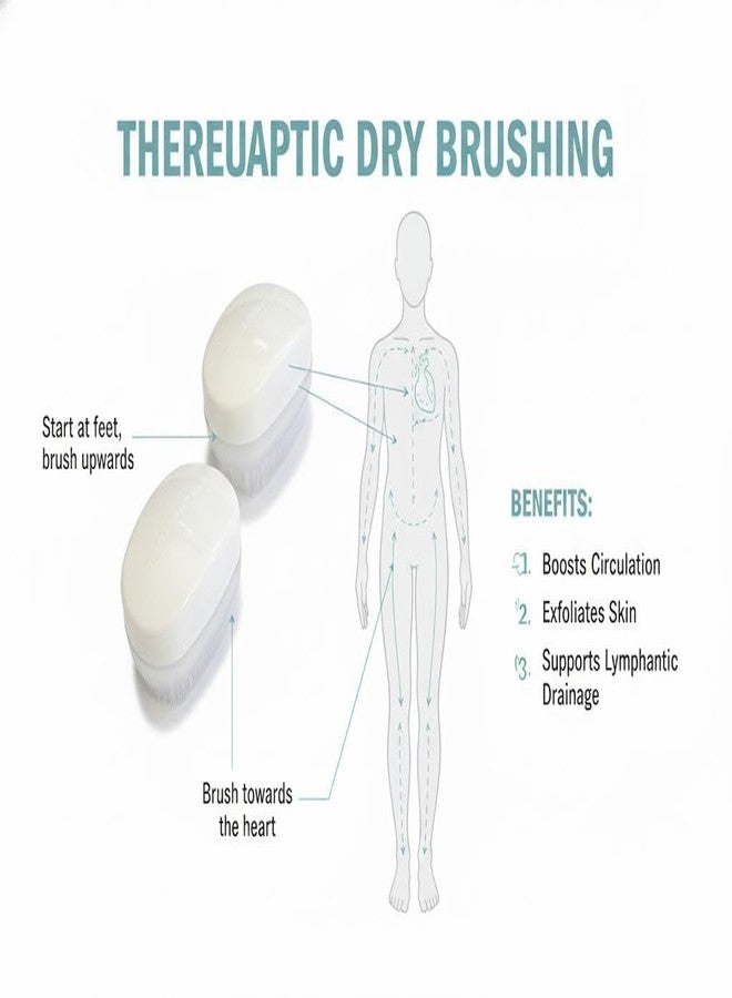 Quality Home Wilbarger Method Sensory Therapy Brush - Occupational Therapressure Brush for Calming, Stimulating, and Sensory Brushing, 2 Count - Image 4