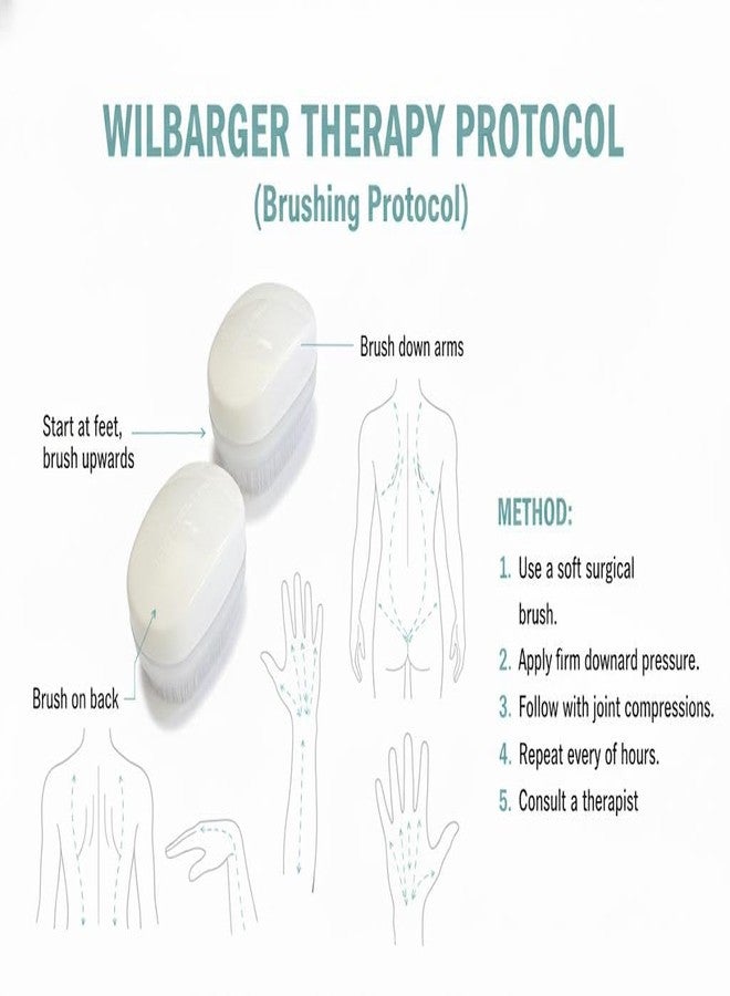 Quality Home Wilbarger Method Sensory Therapy Brush - Occupational Therapressure Brush for Calming, Stimulating, and Sensory Brushing, 2 Count - Image 5