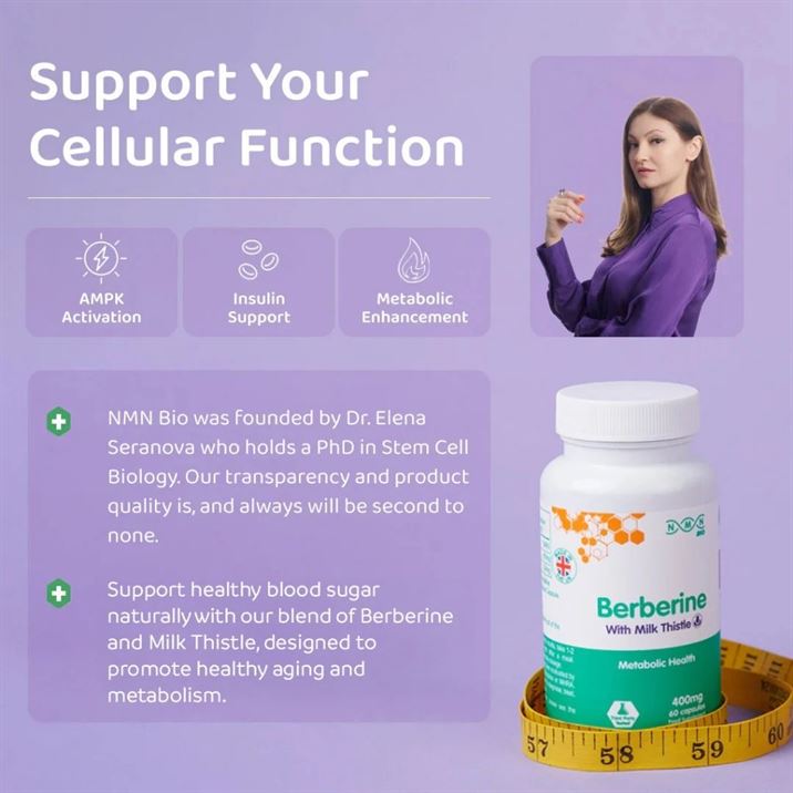 Nmn Bio Berberine 400Mg 60S - Image 4