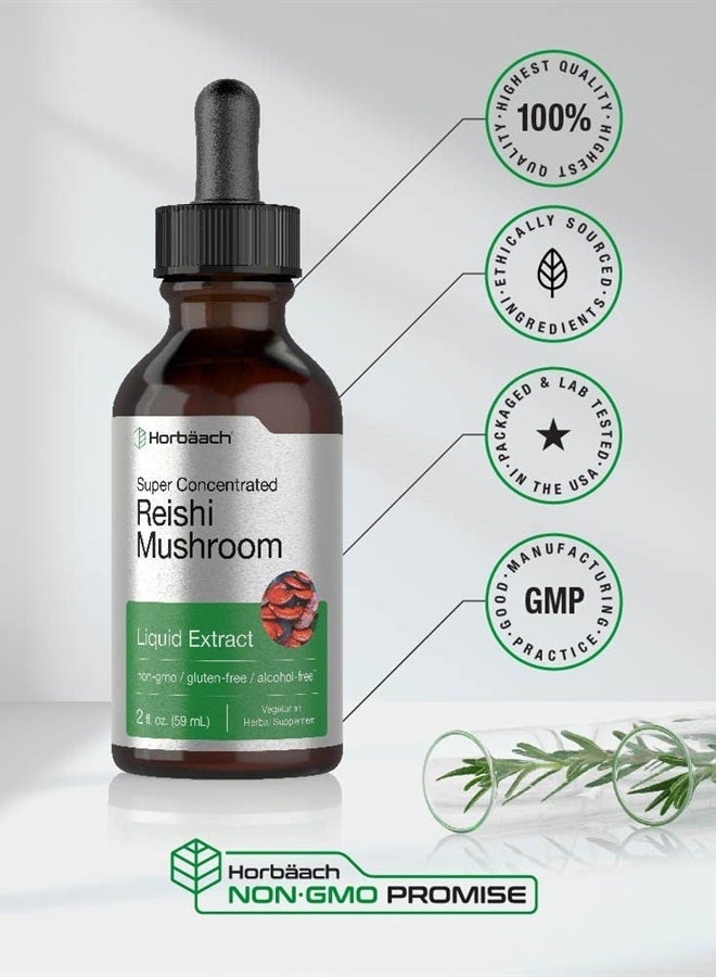Reishi Mushroom Liquid Extract | 2 fl oz