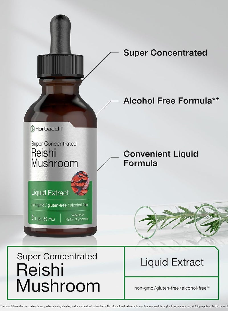 Reishi Mushroom Liquid Extract | 2 fl oz