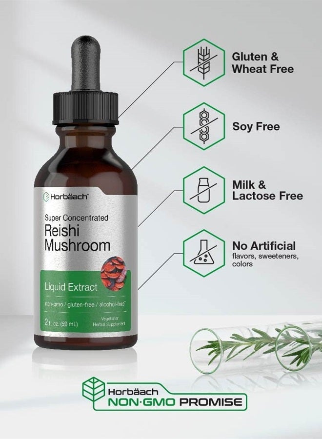 Reishi Mushroom Liquid Extract | 2 fl oz