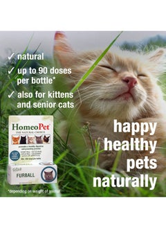 Feline Furball, Safe And Natural Hairball Medicine For Cats, Natural Pet Medicine, 15 Milliliters - pzsku/Z4D8F86E7702D14DC0FDAZ/45/_/1726218943/e38bbc6d-f7ae-458f-8848-d51eab8bb1ac