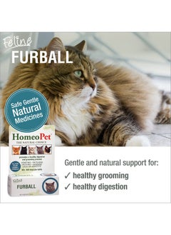 Feline Furball, Safe And Natural Hairball Medicine For Cats, Natural Pet Medicine, 15 Milliliters - pzsku/Z4D8F86E7702D14DC0FDAZ/45/_/1726218952/af38cdbf-a0e4-4070-9567-c337173f530c