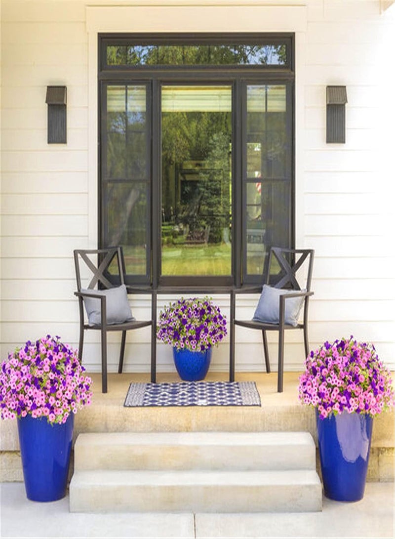 GGOOT Morning Glory Seeds Petunia Graceful Posture Flowers Strong Decorations Strange Flower-100 pcs - Image 2