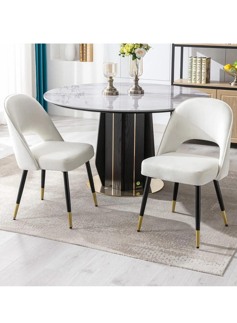 Wooden Twist Modern Stylish Loop Backrest Velvet Upholstery Cafe Dining Chairs With Metal Legs (Set Of 2)  - Image 1