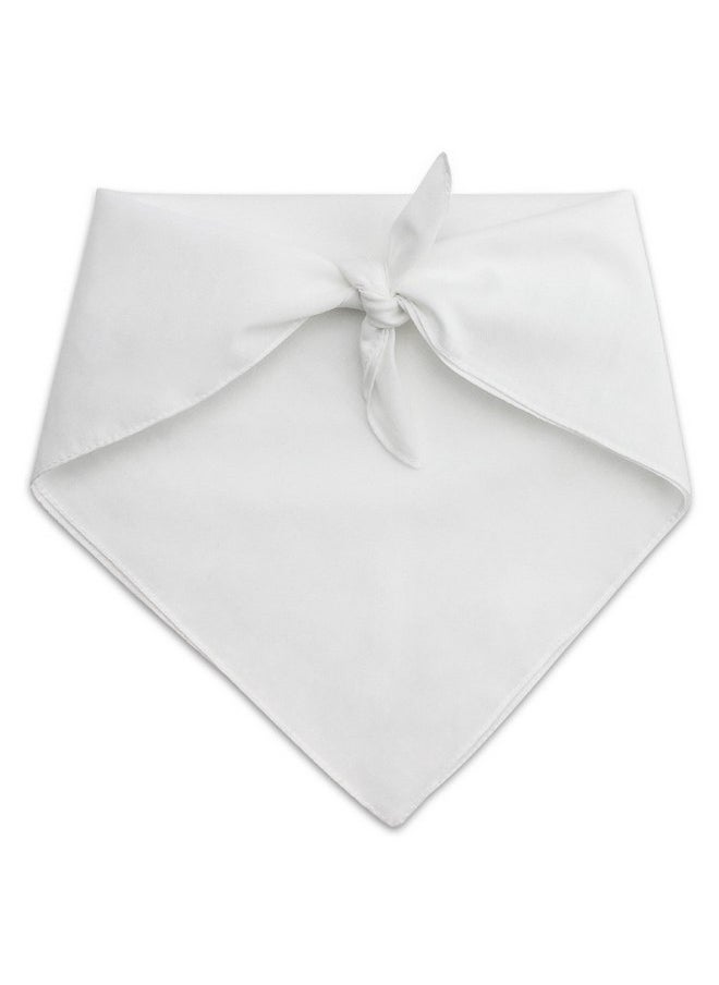 GRAPHICS & MORE - GRAPHICS & MORE Beetlejuice Beetle Worm Dog Pet Bandana - Image 1