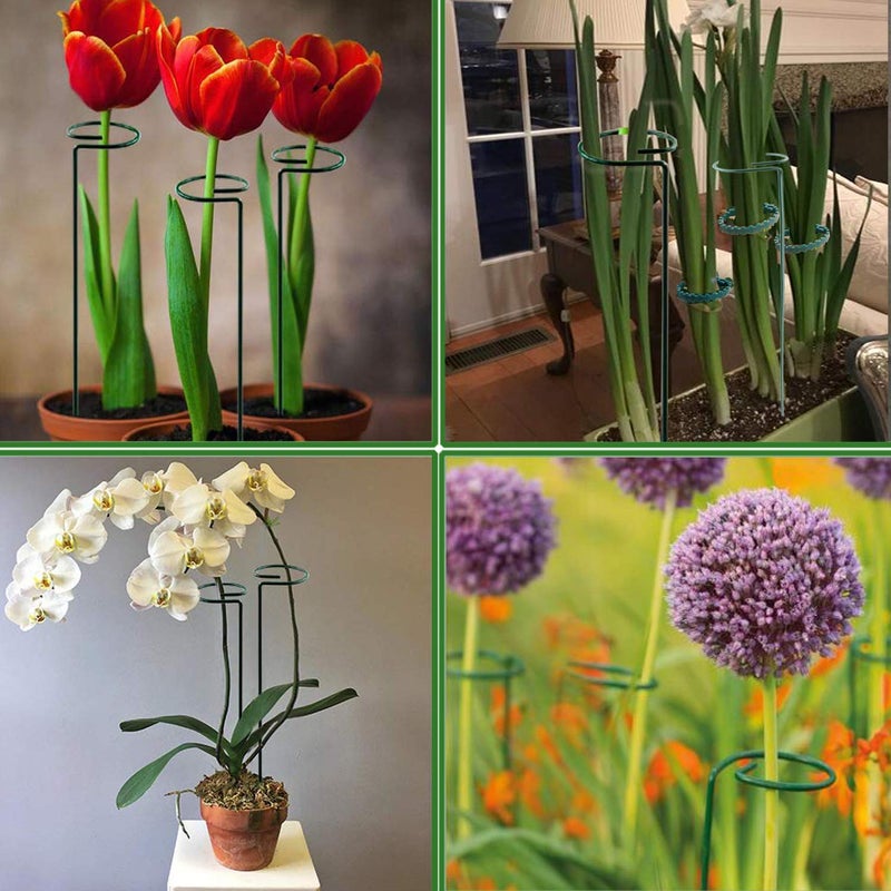 RAIKEDR Plant Stake Support - 6 Pack, Garden Single Stem Support Stake Plant Cage Support Rings, Single Stem Plant Support Stakes, Plant Twist Ties, for Flowers Amaryllis Tomatoes Peony Lily Rose (15.9 inch) - Image 5